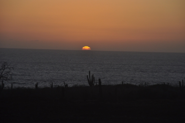  Los Cabos 